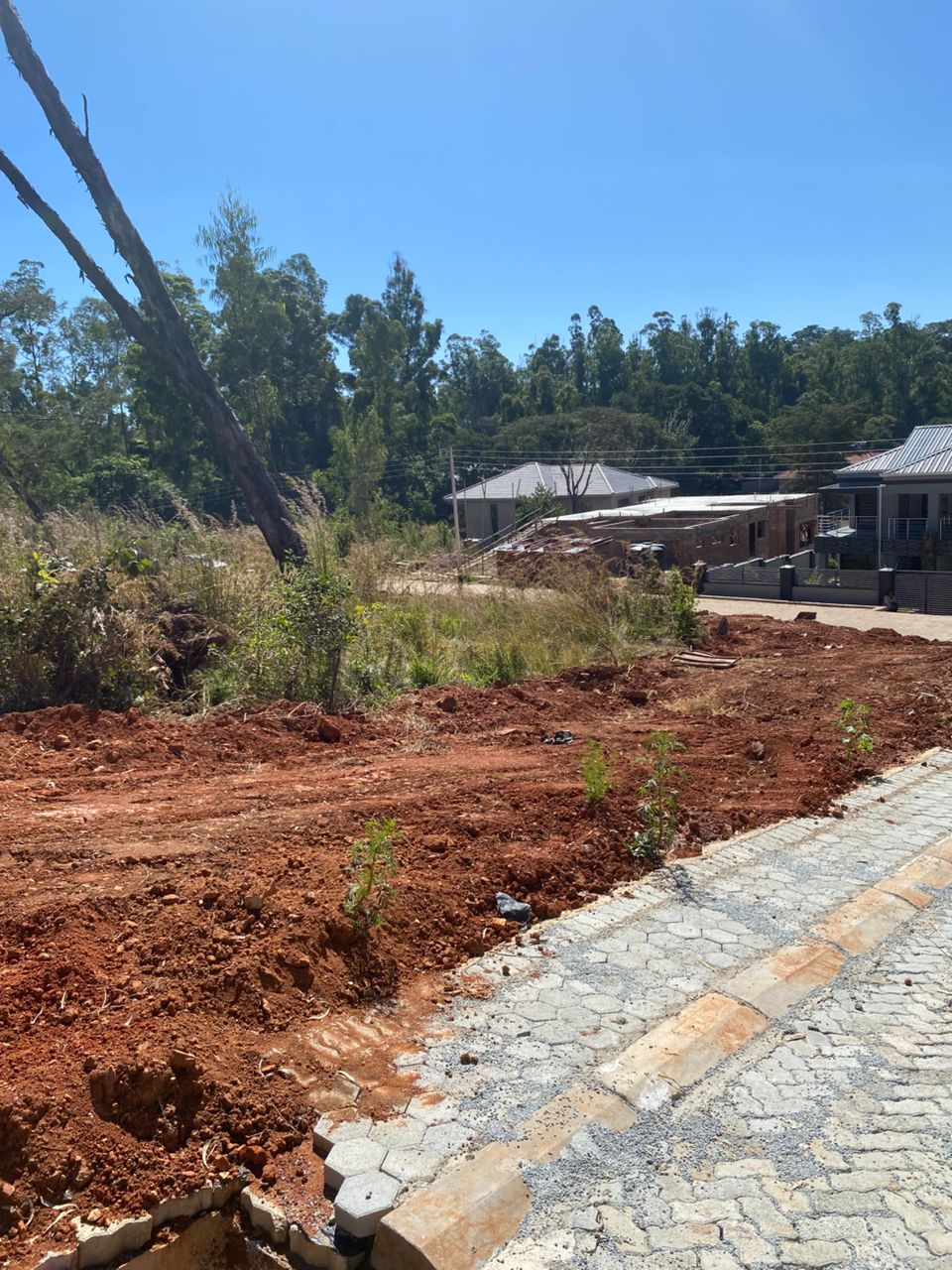 Property view 4